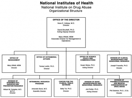 Organization Chart for NIDA, link below graphic for description
